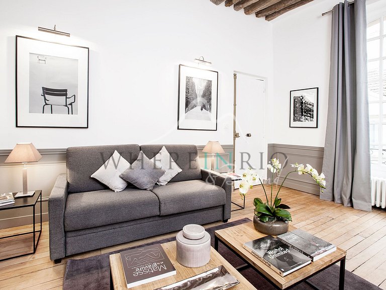 Luxury Parisian apartment near the metro