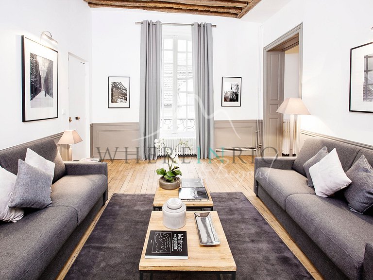 Luxury Parisian apartment near the metro