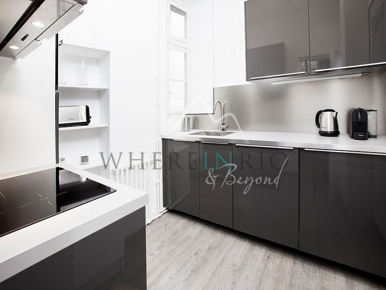 Luxury Parisian apartment near the metro