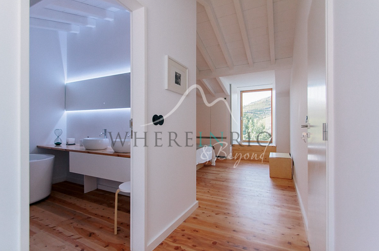 Amazing Vineyard Villa in Douro
