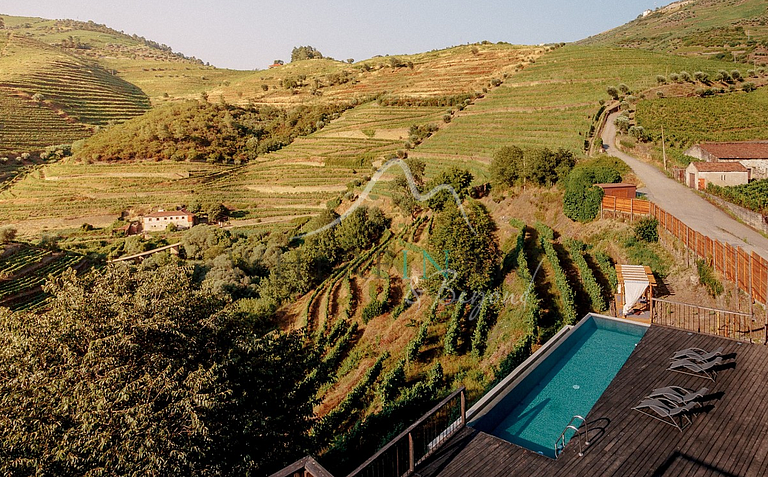 Amazing Vineyard Villa in Douro