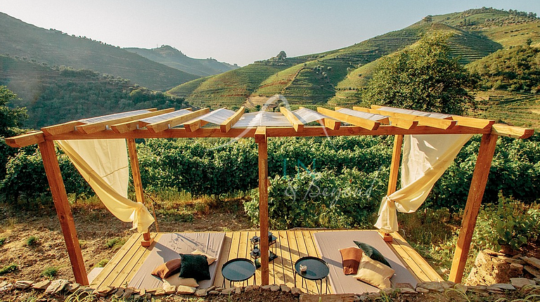 Increíble Villa de Viñedo en el Douro