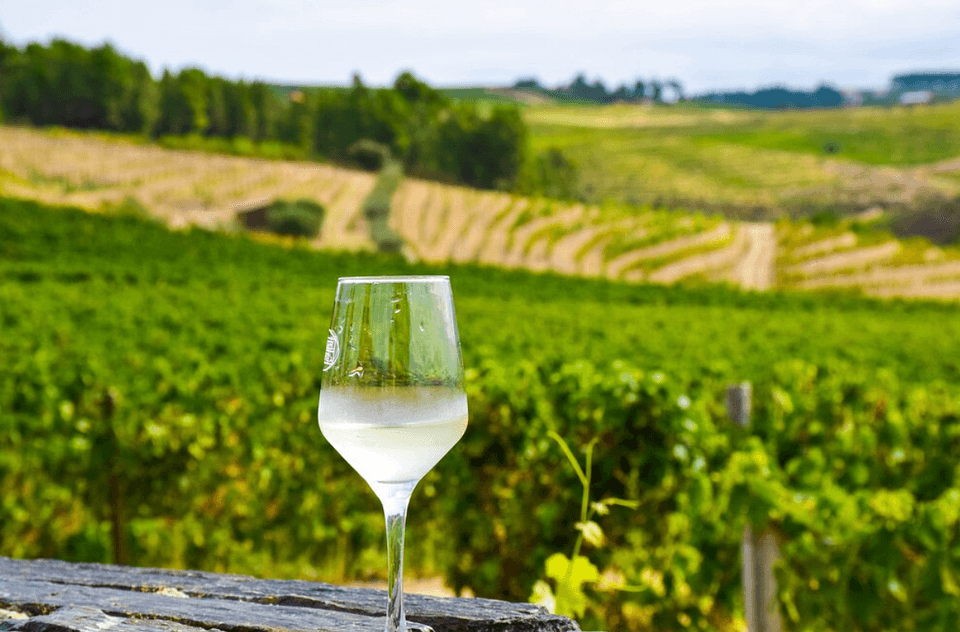 Découvrez le luxe de la vallée du Douro