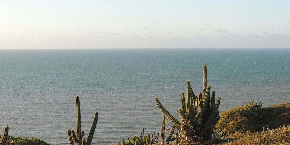 Dónde Alojarse en Jericoacoara: Mejores Zonas (2025)