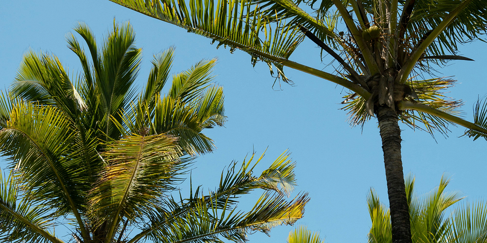 Dónde Alojarse en Costa Verde: Mejores Zonas (2025)